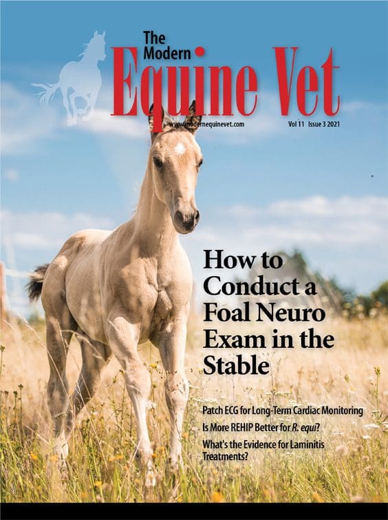 The Modern Equine Vet issue cover for March 2021