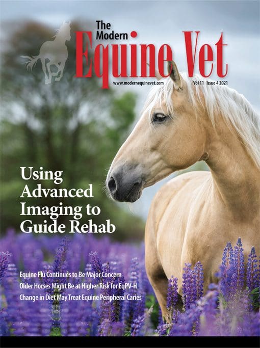 The Modern Equine Vet issue cover for April 2021