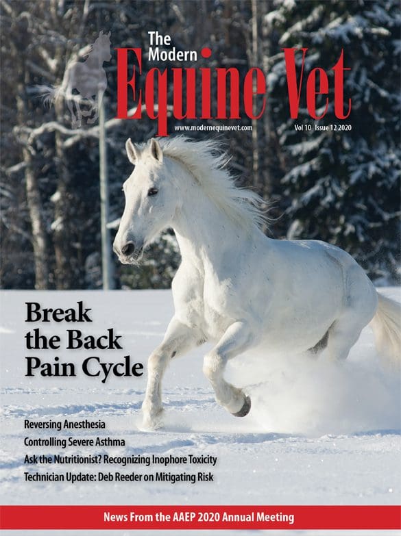 The Modern Equine Vet issue cover for December 2020