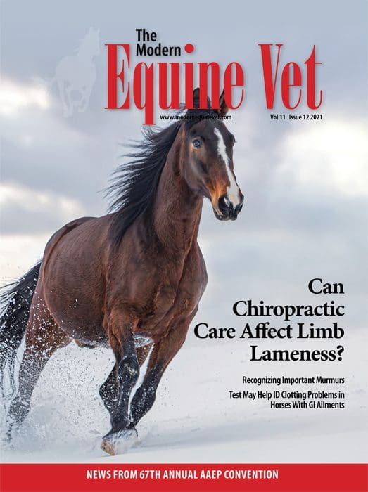 The Modern Equine Vet issue cover for December 2021