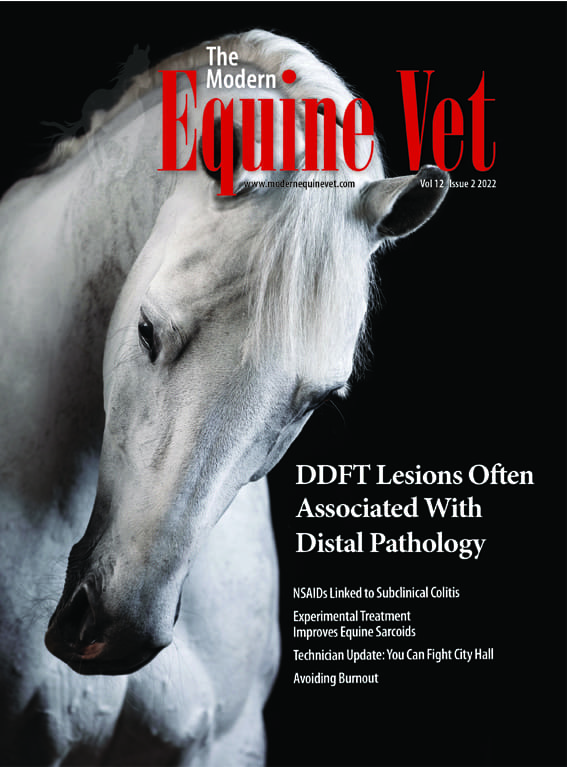 The Modern Equine Vet issue cover for February 2022