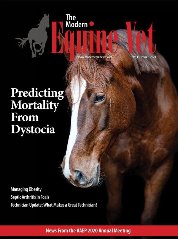 The Modern Equine Vet issue cover for January 2021