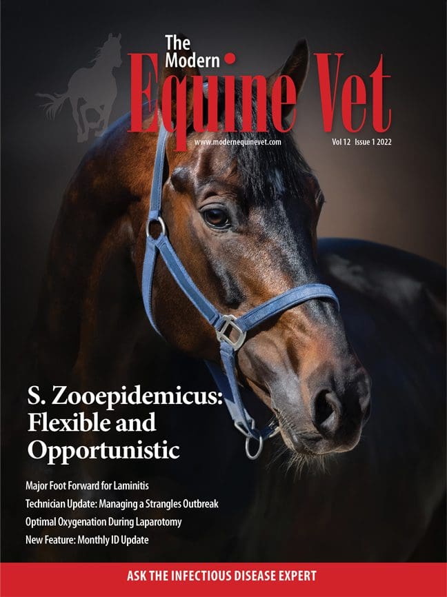 The Modern Equine Vet issue cover for January 2022