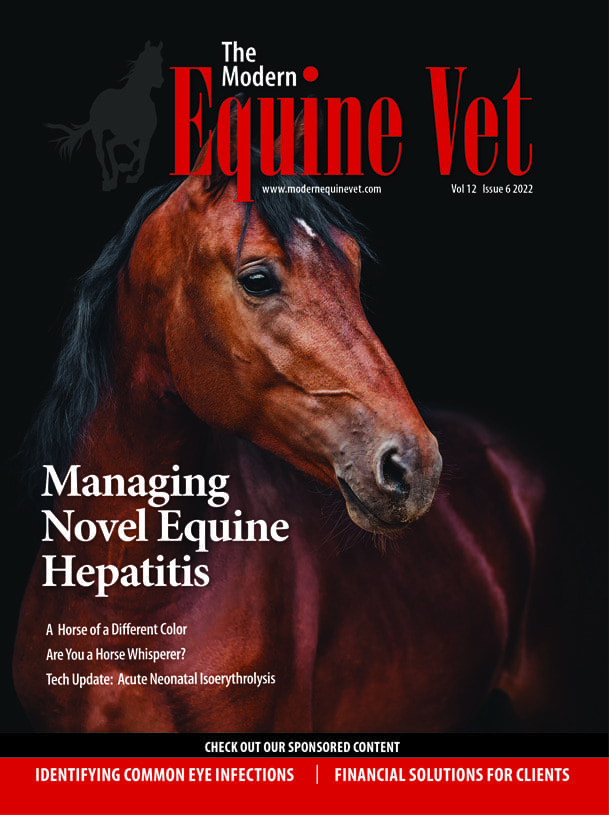 The Modern Equine Vet issue cover for June 2022