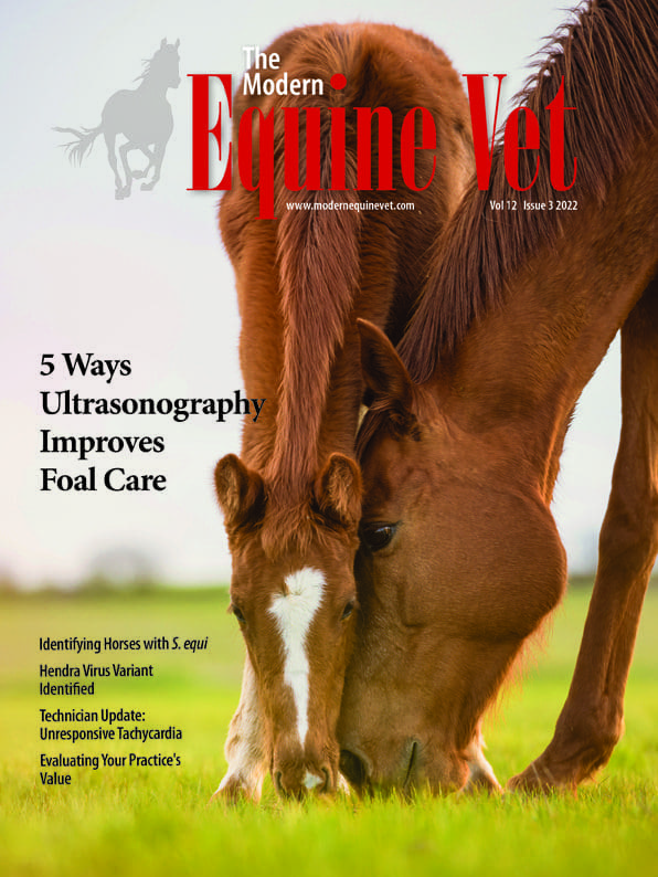 The Modern Equine Vet issue cover for March 2022