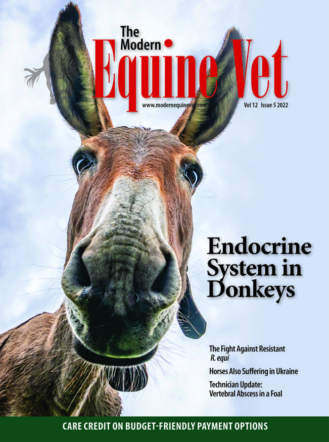 The Modern Equine Vet issue cover for May 2022