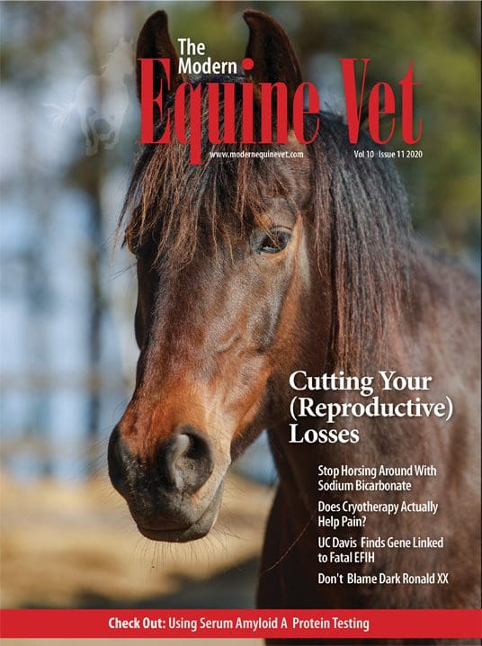 The Modern Equine Vet issue cover for November 2020