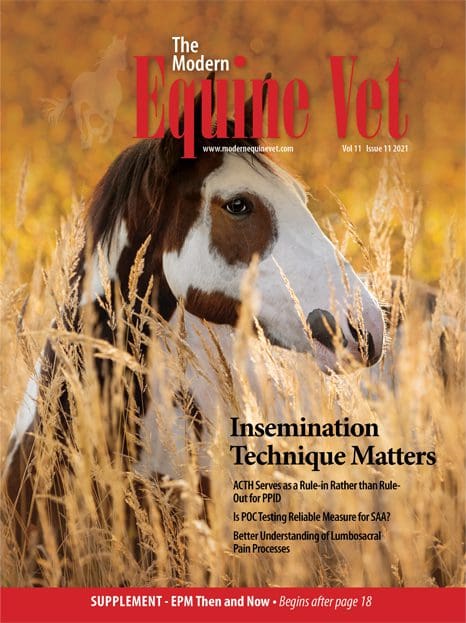The Modern Equine Vet issue cover for November 2021