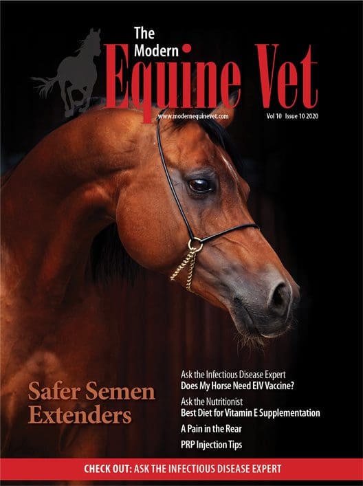 The Modern Equine Vet issue cover for October 2020