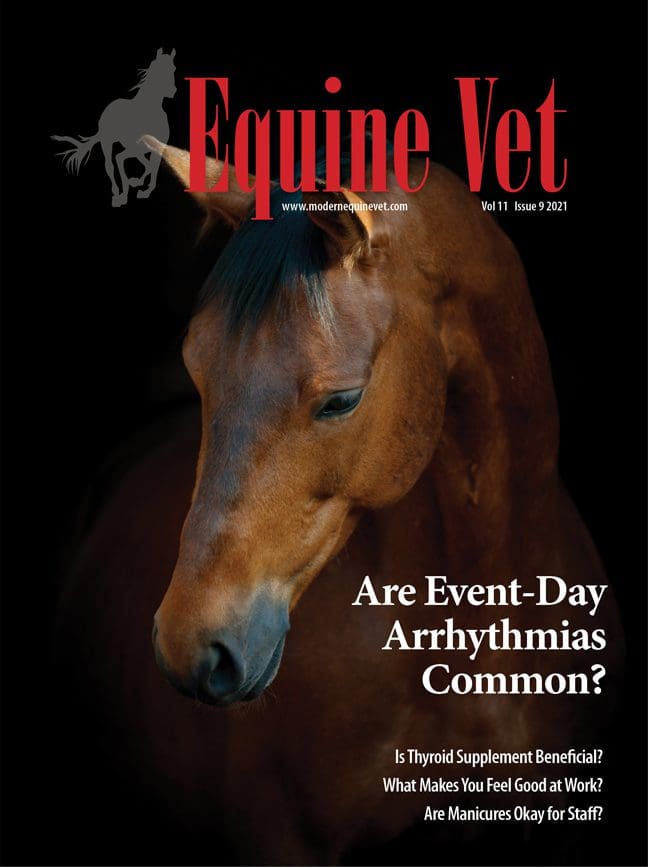 The Modern Equine Vet issue cover for September 2021