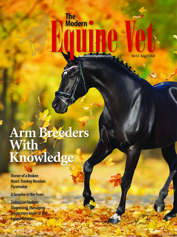 The Modern Equine Vet September 2022 issue cover